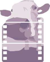 Purple Cow Productions
